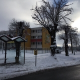 IMG-20170118-WA0005